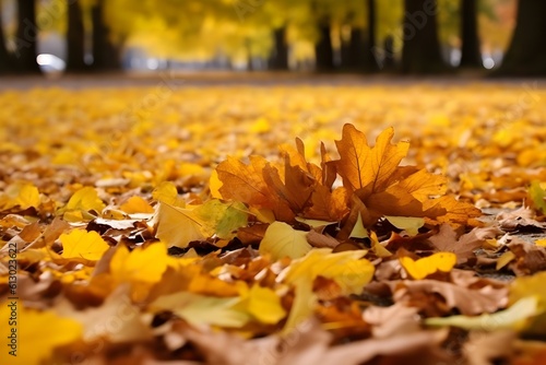 yellow leaves on ground realistic photography realism hd. Generative AI