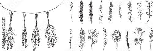 ベクターイラスト。手書きの草木のイラストセット。植物のイラスト。手描きのハーブと花のイラスト。Vector illustration. Set of hand drawn illustrations of plants and trees. Illustration of plants. Hand drawn herbs and flowers illustration.