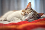 Cat sleeps on a white blanket realistic photography. Generative AI
