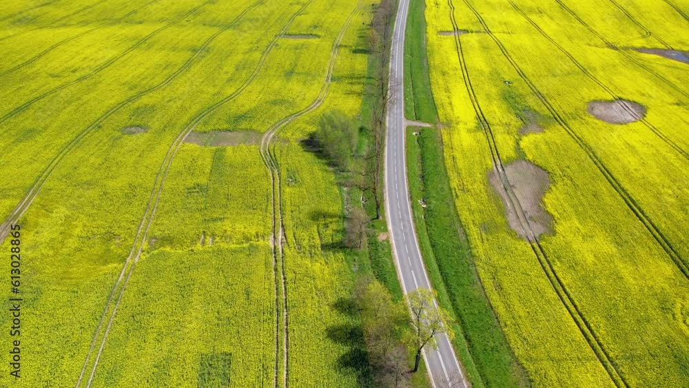 4K Aerial of highway in rural rapeseed fields. 4K Aerial of highway in rural rapeseed fields.