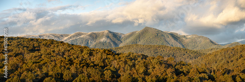 View of Mount Buller from Merrijg with no snow