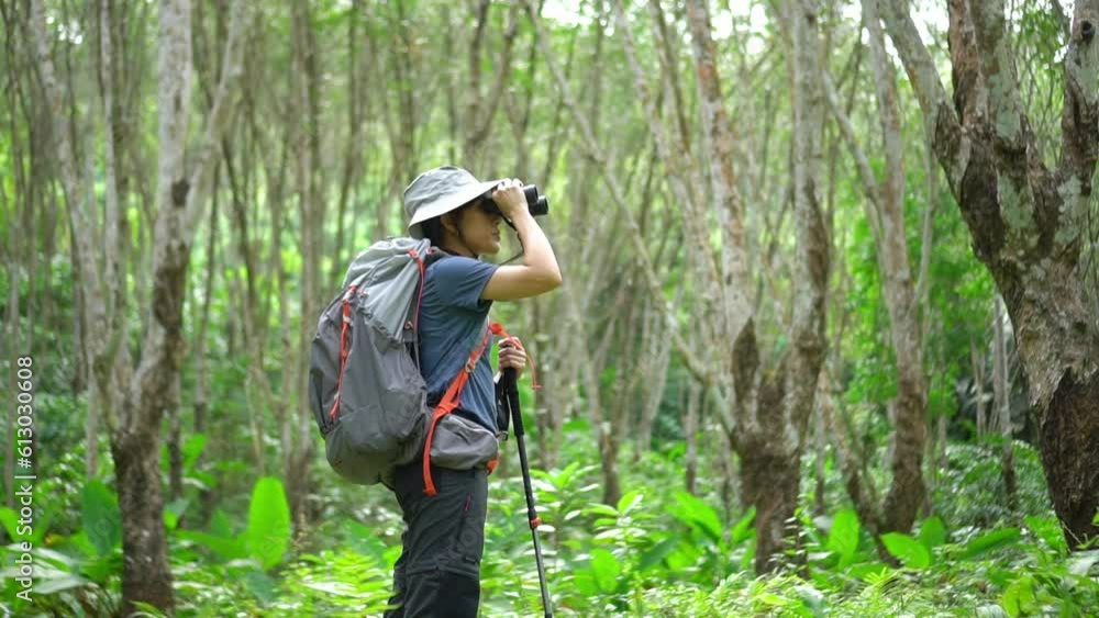 Explore the tropical rainforest in the rainy season. Asian trekkers journey through lush wilderness. Capture wildlife encounters and essential backpacking moments. Perfect for nature enthusiasts. Join Explore the tropical rainforest in the rainy season. Asian trekkers journey through lush wilderness. Capture wildlife encounters and essential backpacking moments. Perfect for nature enthusiasts. Join