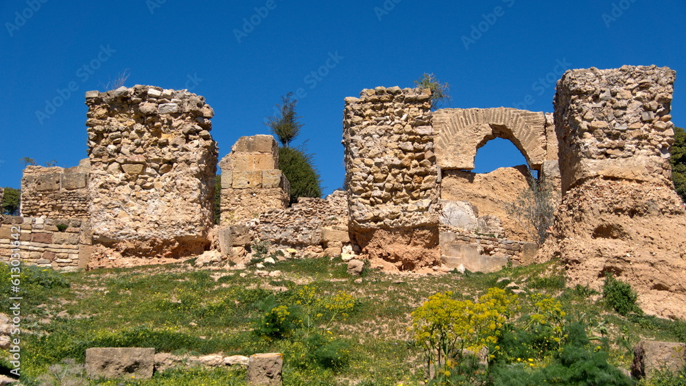 Stone columns and structures in the ruins of ancient Carthage in Tunis, Tunisia