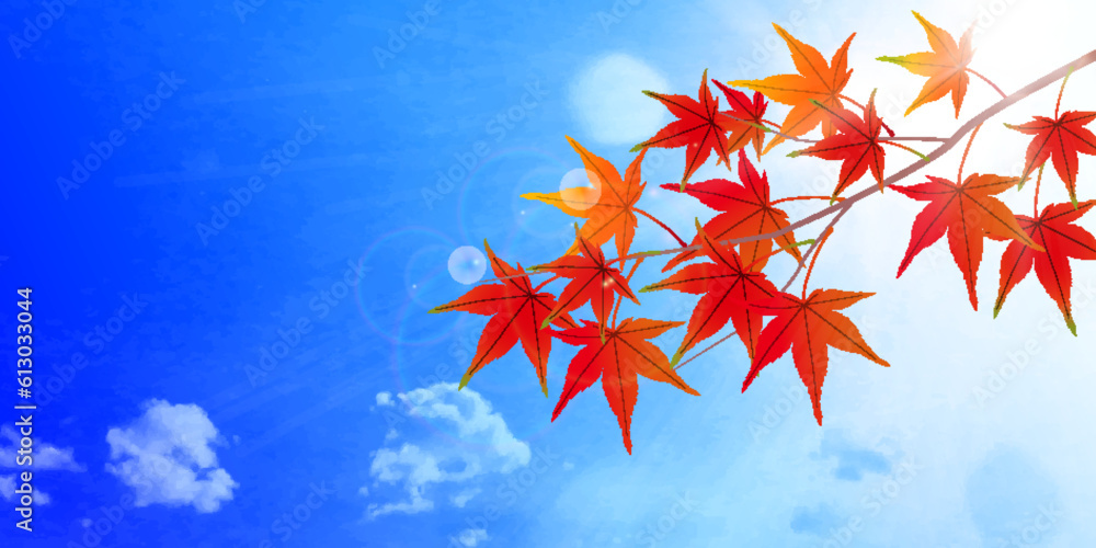紅葉 もみじ 風景 背景 紅葉 もみじ 風景 背景