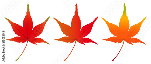 紅葉　もみじ　葉　アイコン