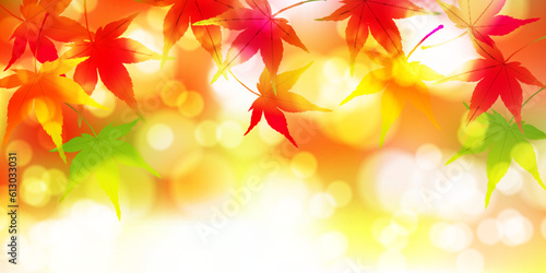 紅葉　もみじ　秋　背景

