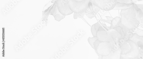 Beautiful tropical flowers with leaves on white color background, tropical palm leaf on white background. Flat lay, top view, creative white background with tropical palm leaves.