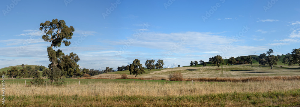 Reardons Reserve at the end of Paps Lane in Mansfield, Victoria, Australia