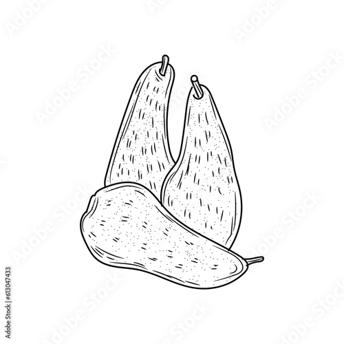 Ripe pears on white background