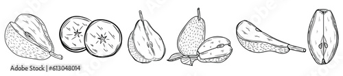 Set of ripe pears on white background