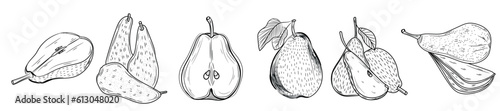 Set of ripe pears on white background