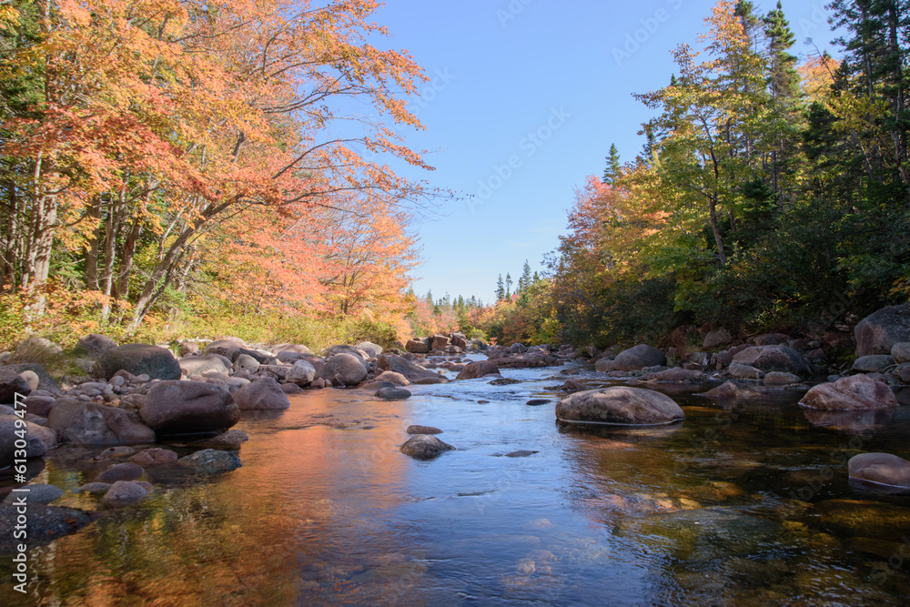 Canadian autumn colorful landscape with a river in the background. Canadian autumn colorful landscape with a river in the background.