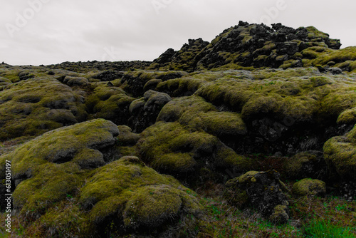 vue d'une pile de roche recouverte de mousse verte lors d'une journée ennuagée