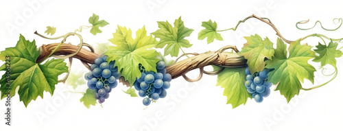 Ein Hauch von Wein: Traubenblätter im Weinberg photo