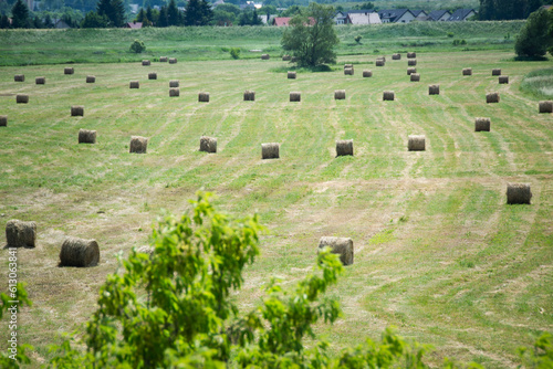 Some hay bales with green background.