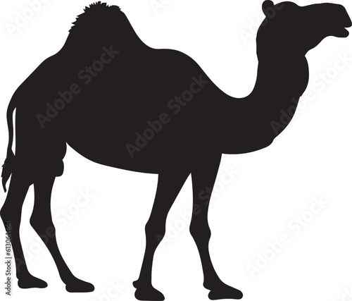 camel vector silhouette