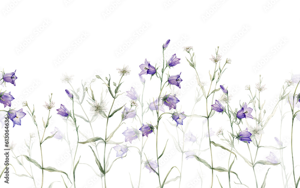 Fototapeta premium Seamless border of meadow, forest flowers. Campanula patula, little bell, bluebell, rapunzel. Rabelera holostea, stellaria.Watercolor hand painting illustration on isolate white background.