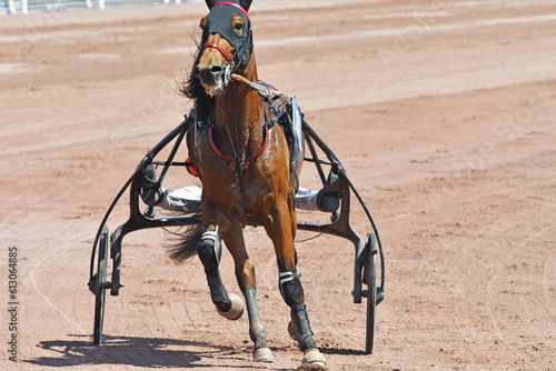 Bilde på lerret course de chevaux en trot attelé