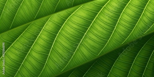 Background with macro leave...