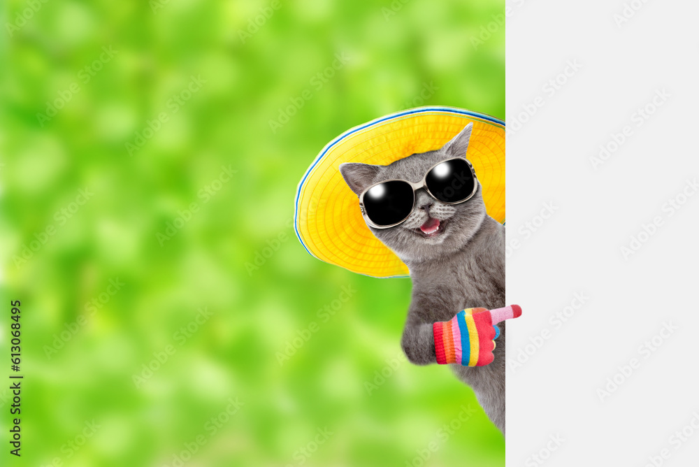 Funny cat wearing summer hat and sunglasses holds tropic cocktail and looks from behind empty white banner