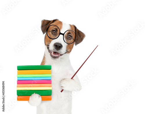 Smart Jack russell puppy wearing eyeglasses and graduation hat points away on empty space. isolated on white background © Ermolaev Alexandr