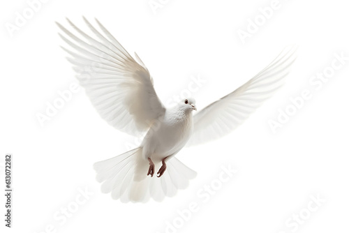 Isolated White Dove on a Transparent Background. Generative AI © Haider
