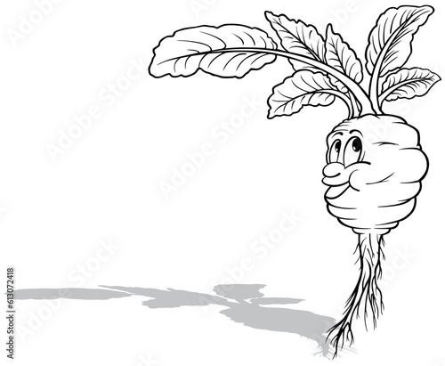 Drawing of Kohlrabi with a ...