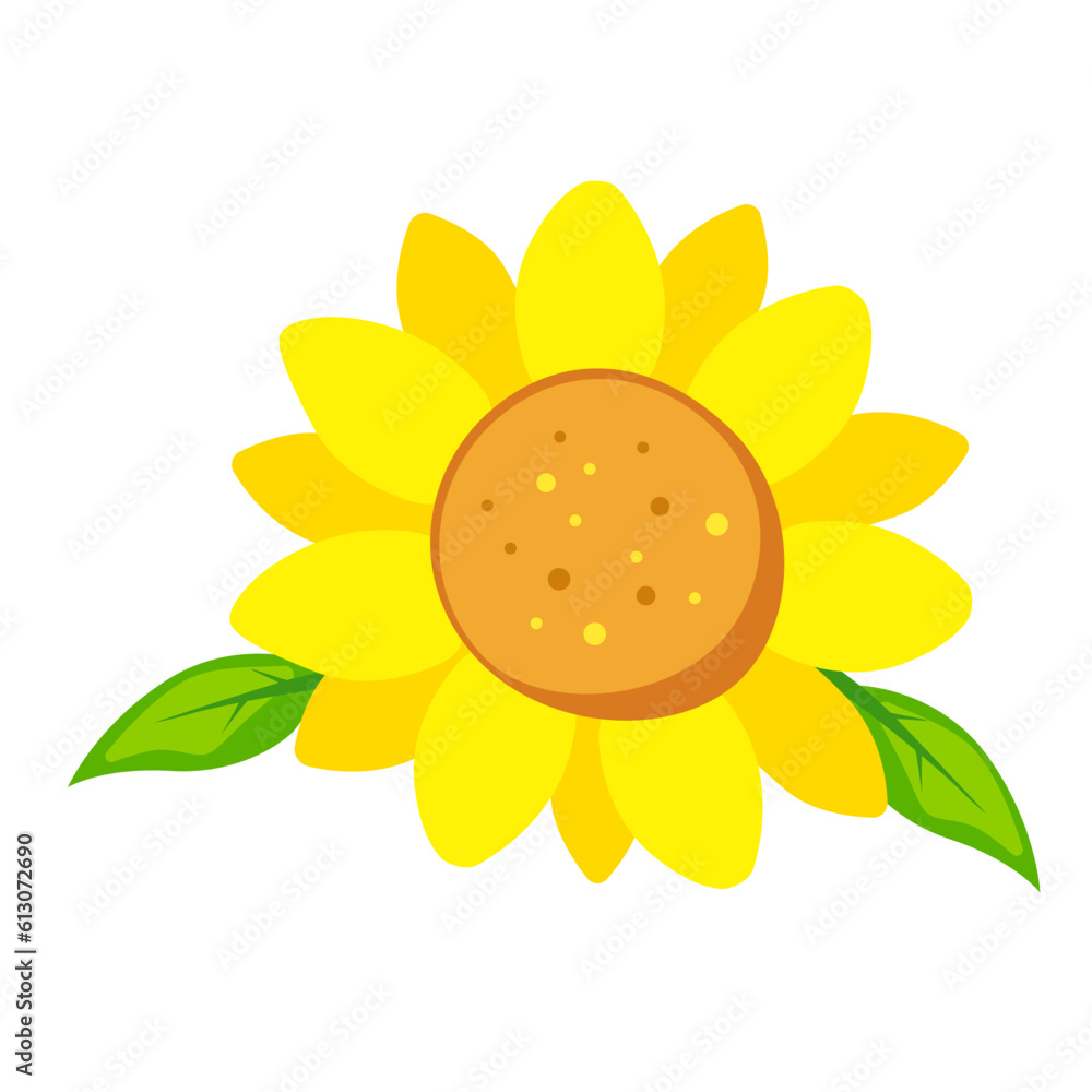 Beautiful sunflower, isolated vector illustration Beautiful sunflower, isolated vector illustration