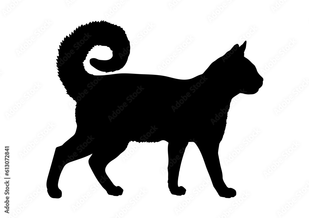 American Ringtail cat silhouette cat breeds vector 