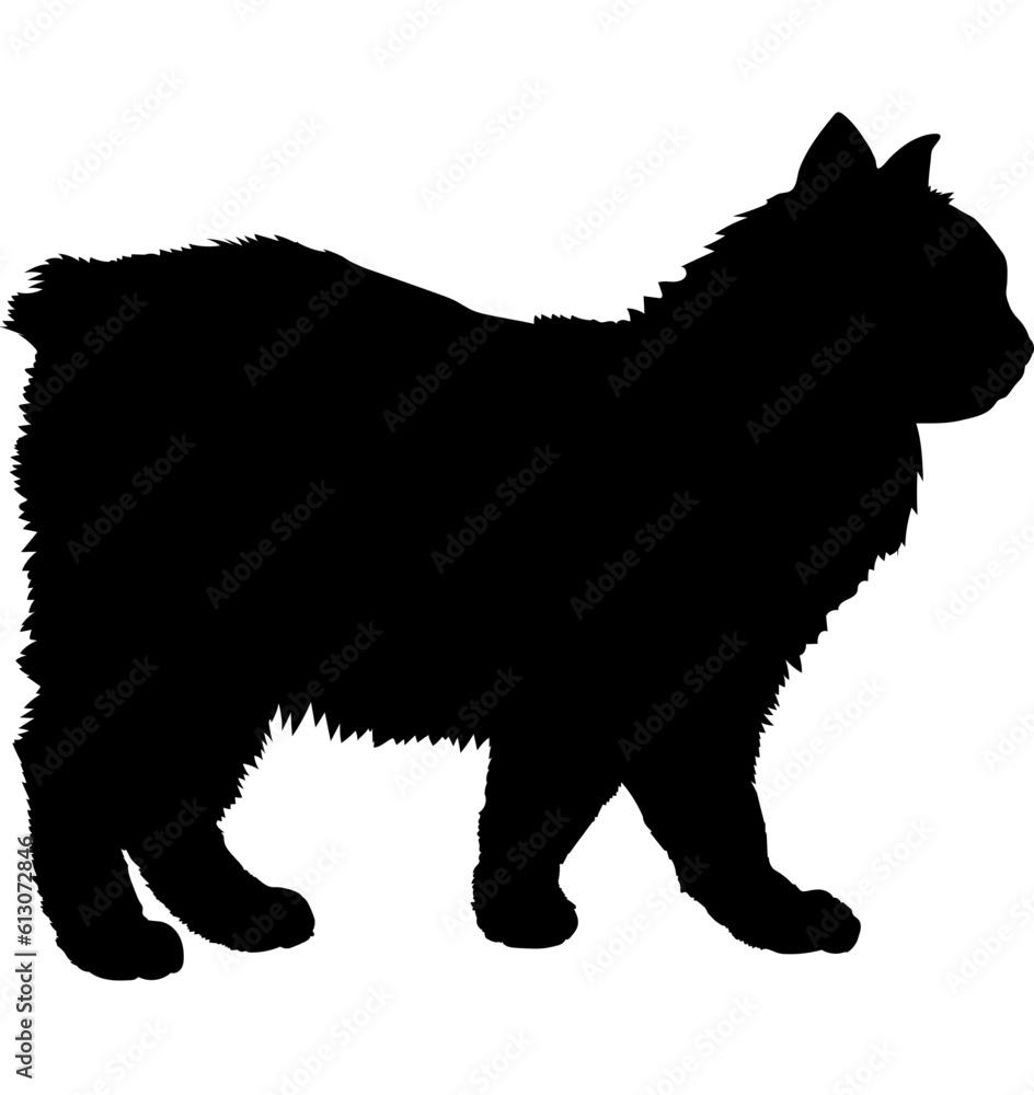 Cymric cat silhouette cat breeds vector 