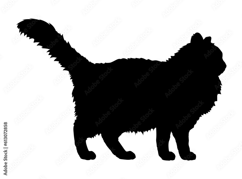 British Longhair Cat Silhouette Cat Breeds Vector Stock Vector 