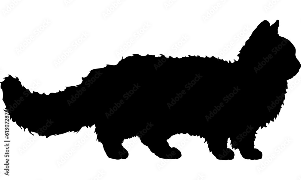 Lambkin cat silhouette cat breeds vector Lambkin cat silhouette cat breeds vector