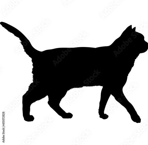 American Shorthair cat silhouette cat breeds vector 