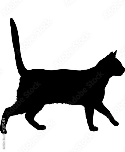 Photography Brazilian Shorthair cat silhouette cat breeds vector