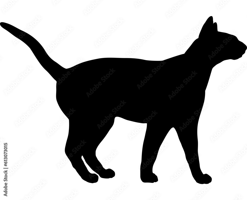 Siamese cat silhouette cat breeds vector 