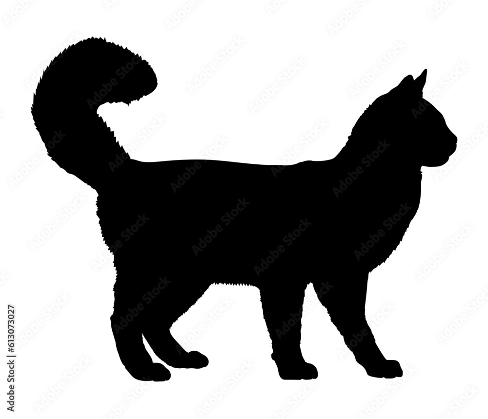 Turkish Angora cat silhouette cat breeds vector 