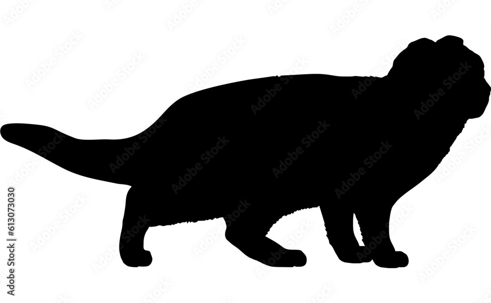 Scottish Fold cat silhouette cat breeds vector Scottish Fold cat silhouette cat breeds vector
