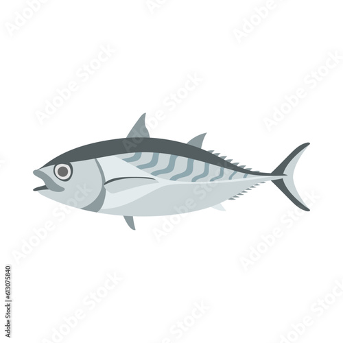 ヒラソウダガツオ。フラットなベクターイラスト。 Frigate tuna (Alagaduwa) . Flat designed vector illustration.