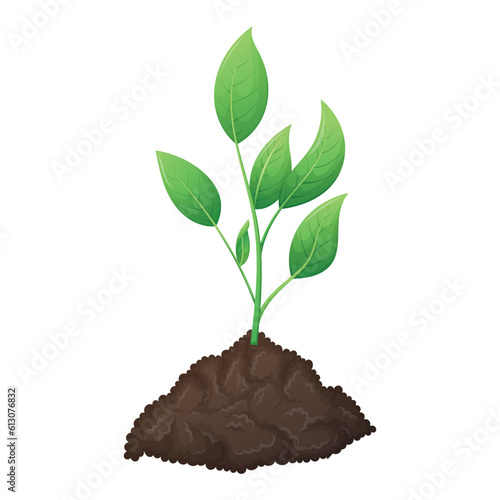 A bunch of fertile black soil and growing green plant sprout with leaves. The concept of gardening and sowing. Vector isolated cartoon illustration. © Ekaterina