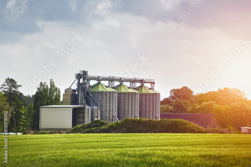 Steel grain silos stand next to a field. Agro silo granary elevator with seeds. Agro-processing manufacturing plant for processing drying cleaning and storage of agricultural products photo