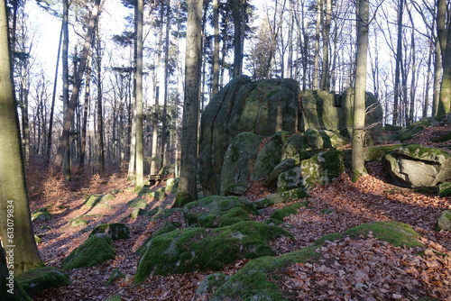 Auf dem Rimdidim im Odenwald photo