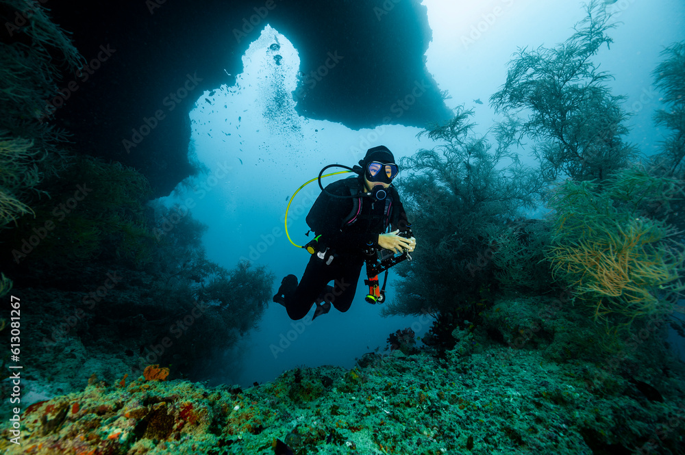 diver exploring reef in the Maldives diver exploring reef in the Maldives