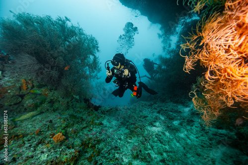 Wallpaper Mural diver exploring reef in the Maldives Torontodigital.ca