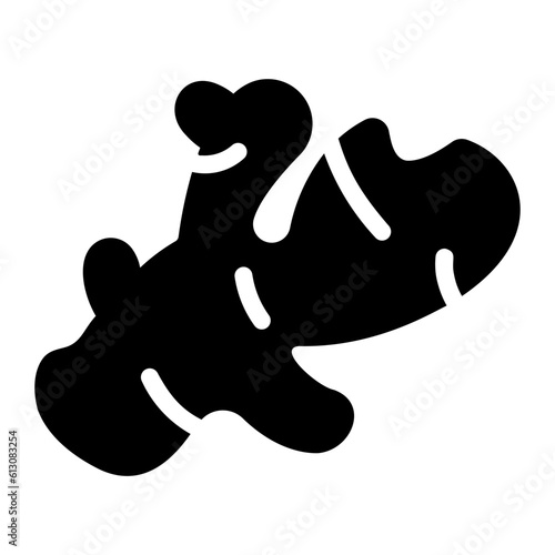 ginger Solid icon