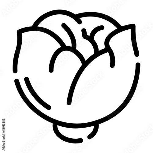 cauliflower Line Icon