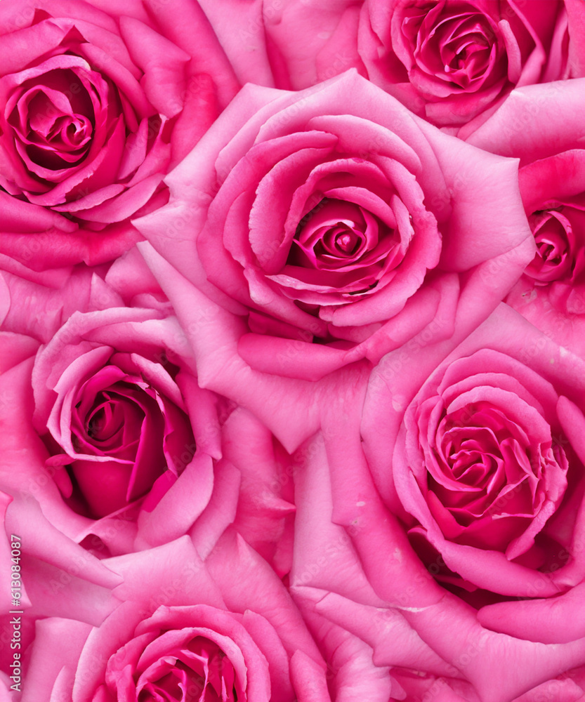 Pink roses natural floral background close up vertical, generative AI Pink roses natural floral background close up vertical, generative AI