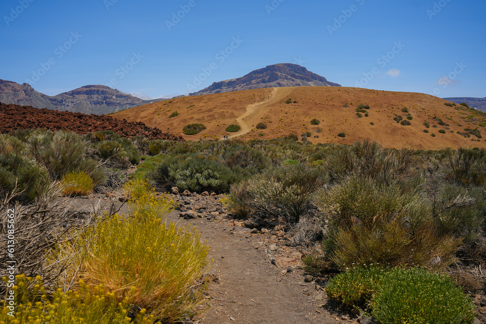Beautiful rocky desert landscape on Teide park on Tenerife island on the sunny day.