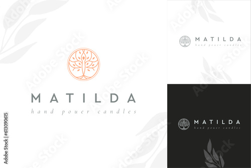 Olive tree logo. Extra virgin olive oil label icon. Tree of life symbol. Organic branch brand identity. Plant leaf sign. Vector illustration.