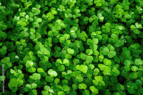 Field Of Clover Leaves Background. Generative AI