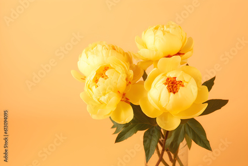 Fototapeta Naklejka Na Ścianę i Meble -  bouquet of yellow peony flowers on yellow background 